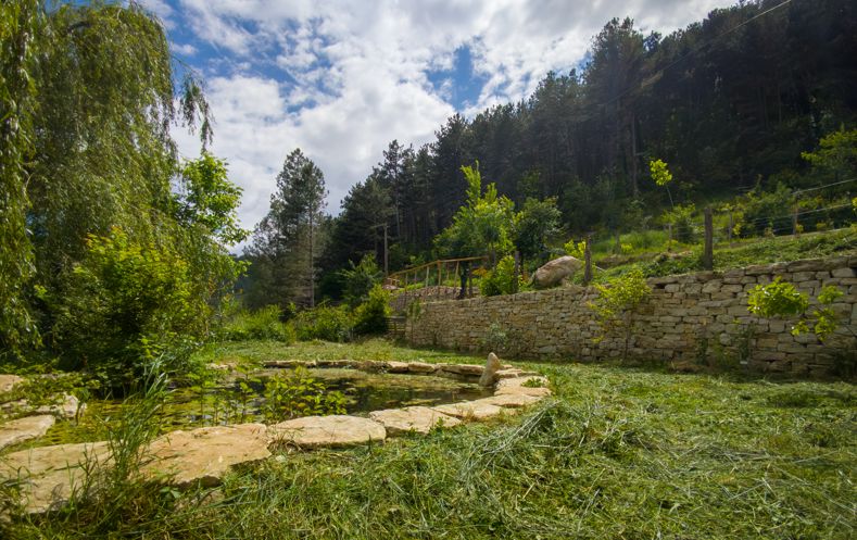 Le Jardin