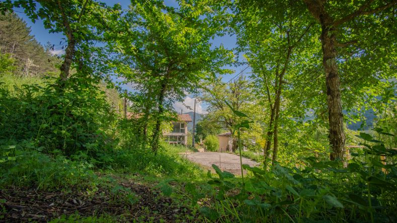 Gîte depuis la forêt